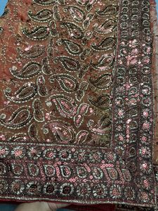 Honey Coloured And Sequence Worked Organza Saree