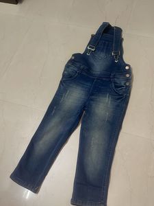 Awesome Knee Length Retro Dungree