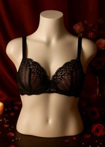 🇳🇿💫🔥 Hot Look Imported Bra