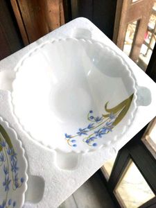 BOROSIL Set of 2 Bowls