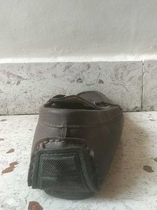 Top Line Brown Loafers