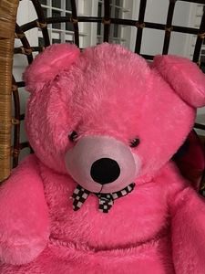 Pink Plush Teddy Bear