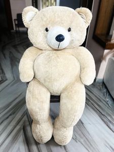 Big Teddy Bear Extra Large