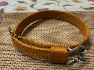 Dog Collar