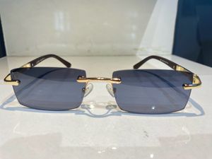 Premium Quality Sunglasses