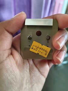 Elegant Dangle Earrings