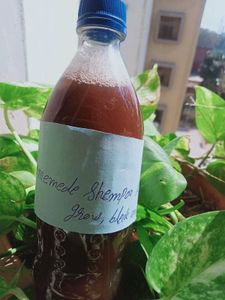 Homemade Shampoo