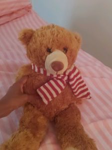 Teddy Bear