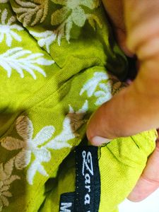Parrot Green ZARA Top