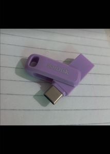 SanDisk USB Drive