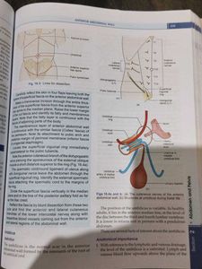 Human Anatomy Vol 2 and vo