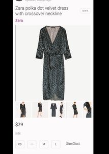 Zara Party Dress