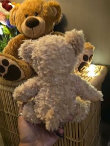 Adorable Teddy Bear Trio