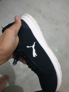 Puma Shoe (OG) Uk 7 (Cash ONLY)