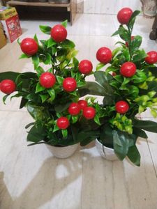 🍒 artificial plant pot