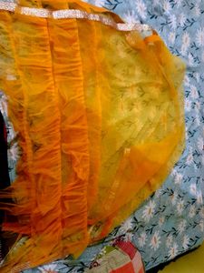 Orange Net Dupatta