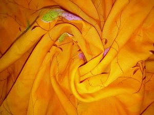 Floral Print Saree Womens