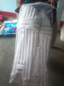 MRF Batting Pads and Gloves
