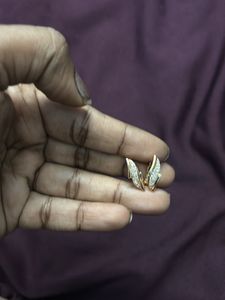 Cute Wing Earrings