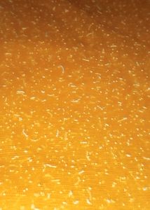 Yellow Net Saree