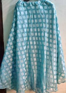 Lehenga Choli Set