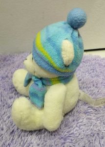 Teddy Bear In Winter Cloth Accessories