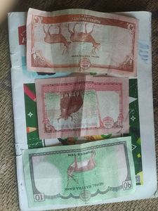 A Combo Set Of Foreign Country Nepal Note Of Rs 10,5,20 Fully New Please 🥺❤️ Buy