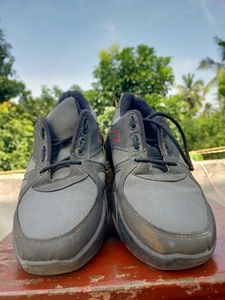 Reebok Sneaker