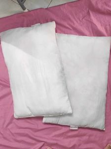2 Pillow (Cushion?