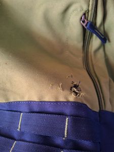 Skybags Backpack