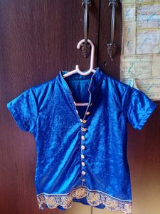Gorgeous Blue Pure Velvet Desi Top