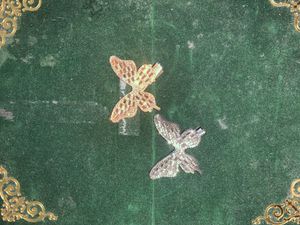 Butterfly Hair Clips