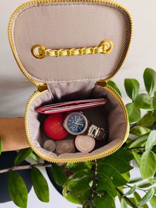 Chic Vanity Case Clutch