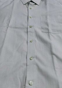 Light Green D&#39;Lero 100% Pure Soft Cotton Shirt