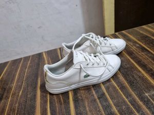 locoste shoesImported n original pairs