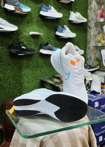 Nike Pegasus Running Shoes