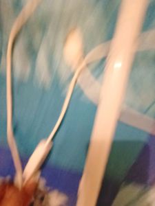 Small Study Table Tubelight