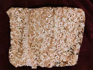 Lace beautiful Shrug