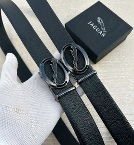 Jaguar Belts