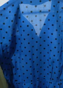 Blue Polka button down dress