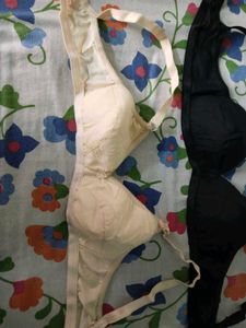 Comfort Bras - Everyday Essentials