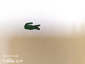 Lacoste Polo Shirt