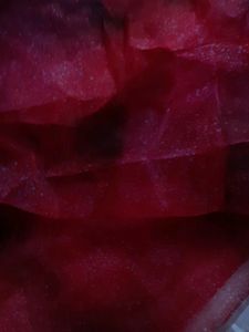 Organza Fabric