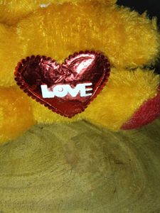 Love Teddy Bear
