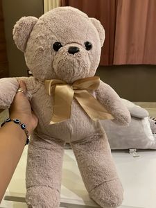 Cute Teddy Bear Duo