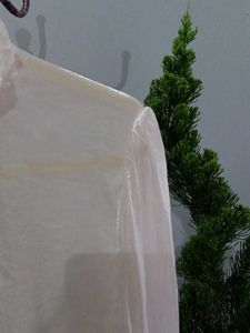 Sheer White Ruffle Top