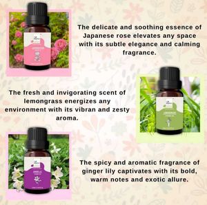 Diffuser Oil Combo @199/-