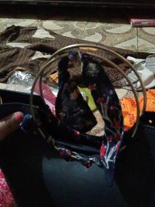 Luxury Bag With Freebies