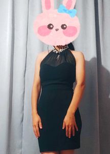 Rhinestones Embellished Black Party Bodycon Dress