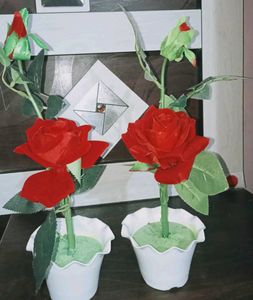 Gulab Home Design